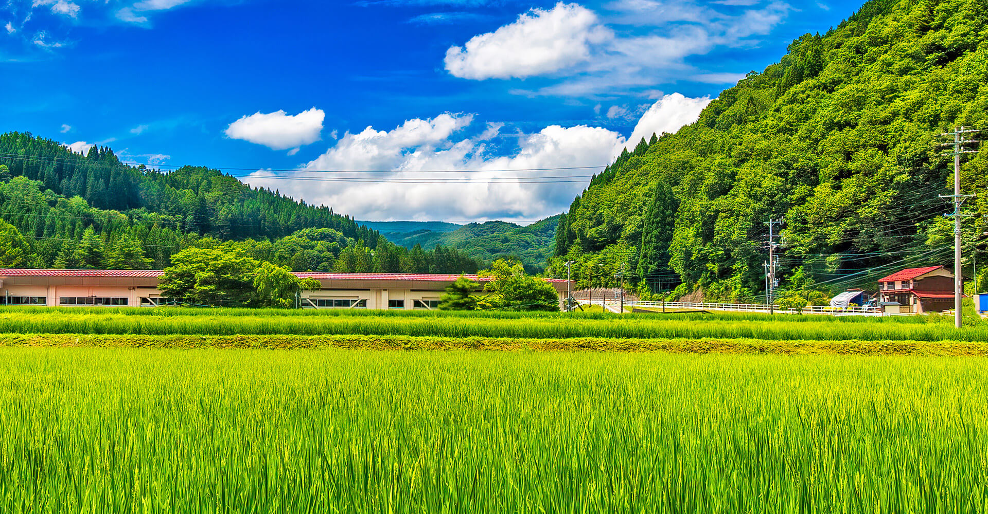 東京NEO-FARMERS!のイメージ画
